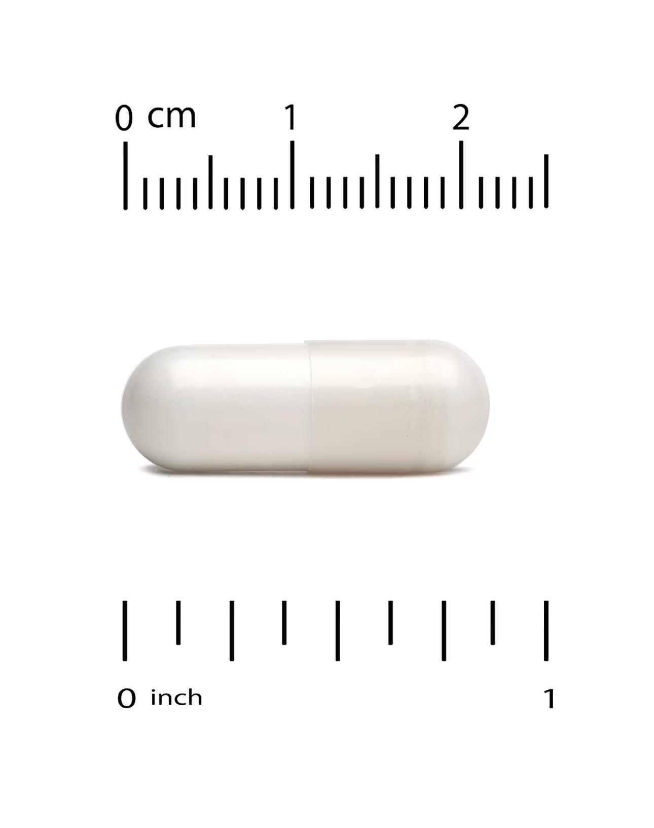Immune 4, Soutien du système immunitaire, 60 capsules – Image 3